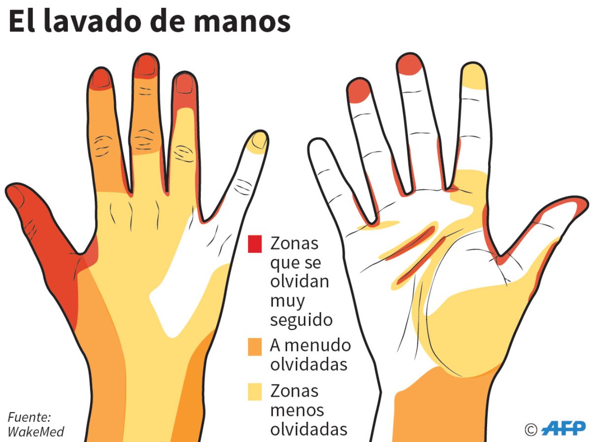 eluniversocom's tweet photo. 5 tips básicos para lavarse las manos correctamente y evitar que proliferen bacterias. ► https://t.co/IjsPqfjs5T https://t.co/SoqT6hpQME