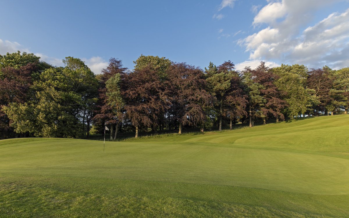 Murrayshall's tweet photo. At just £237.50 per year, membership of our Lynedoch represents fantastic value and also includes use of our bar and golf shop facilities. 

And even better, if you join with a friend one of you will get half price membership. 

To join email golf@murrayshall.co.uk https://t.co/whbAi0bBnF
