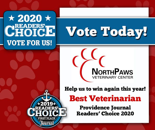 NorthPaws's tweet image. Help us to be number 1 two years in a row! Voting for The Providence Journal​'s 2020 Readers' Choice Awards is going on now. Please vote for NorthPaws as Best Veterinarian in the Services Category.
buff.ly/2IdDJLy