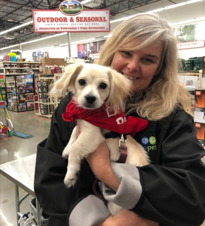 VipPetCare's tweet photo. Visiting your local VIP Petcare operated clinic this weekend? Share pictures with us! Find a location near you: https://t.co/fEvISYnmiu #VIPPetcare #HealthyHappySafe https://t.co/EMXRAzp92s