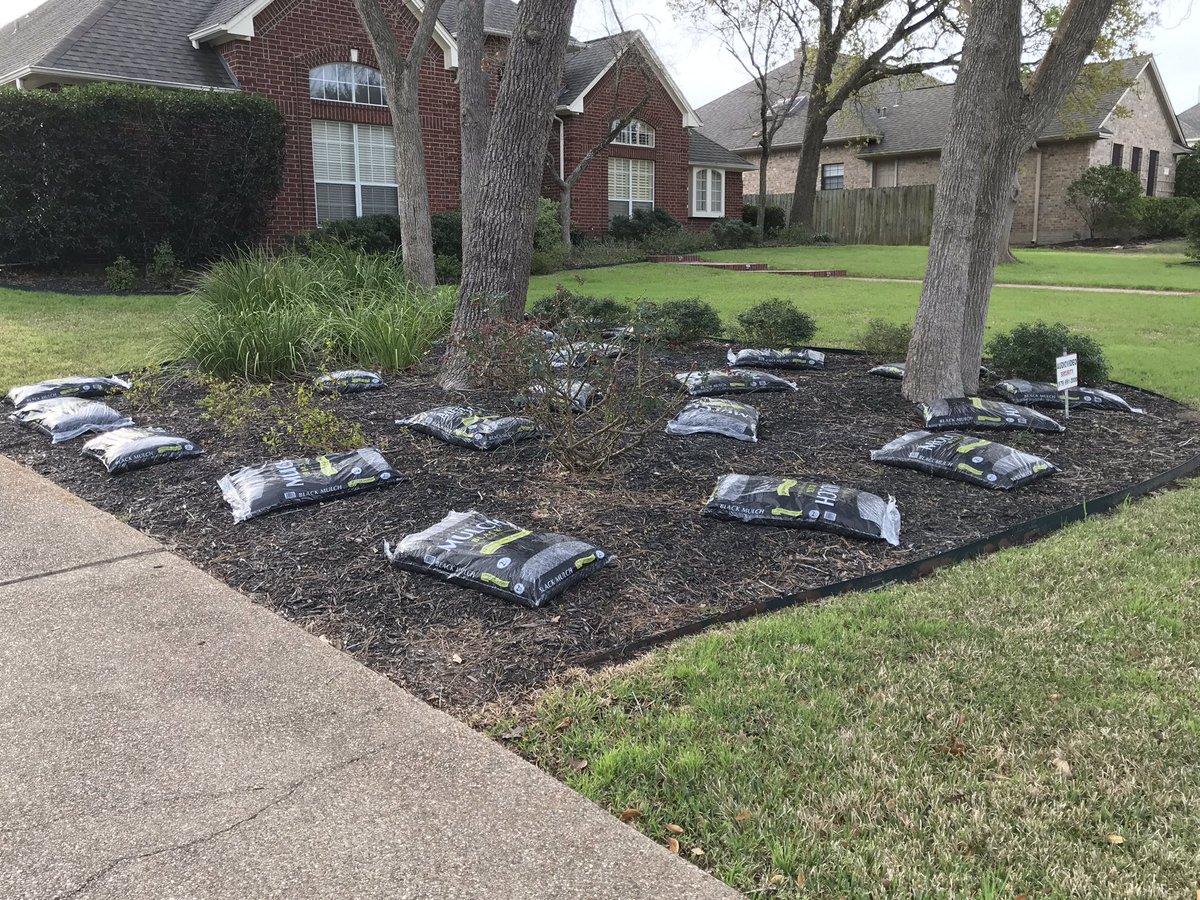 BurlCarraway's tweet photo. @to_carraway and @ausleycarraway think rescuing dogs and baseball games are more important than making the yard look nice so I’m on my own. https://t.co/GxBhXtqHoH