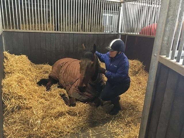 Have I told you about my secret love affair with a different type of horse power! #racehorse #secret #watchthisspace ift.tt/38tSbtO