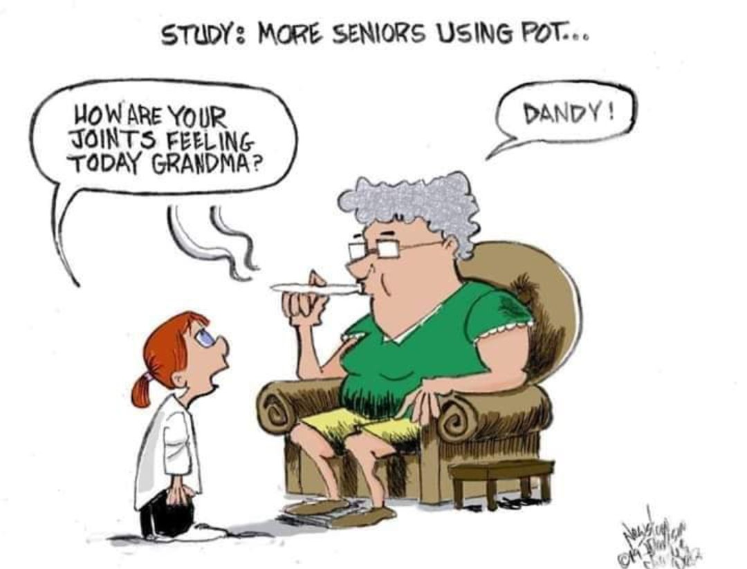 JibbahJ's tweet photo. Who doesn't want a healthier #Grandmother?😉🤣
#Grandma #healthy #seniors #SaturdayThoughts #SaturdayMotivation #CannabisCommunity #cannabisculture #medicalmarijuana #MMJ #weedmemes #weedstagram #weedsmokers #StonerFam #Maine https://t.co/ApluMXp1BO