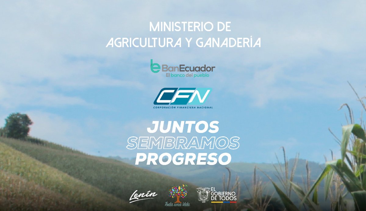 AgriculturaEc's tweet photo. .@AgriculturaEc @BanEcuadorBP y @CFN_ECUADOR  se unen para mejorar la experiencia de producir en el campo. 

1. Te ayudamos a definir tu proyecto
2. Te asistimos para que accedas al crédito ágil y oportuno
3. Te asesoramos hacia tu mejor cosecha.  

Juntos #SembramosProgreso https://t.co/fjNuUBy1KG