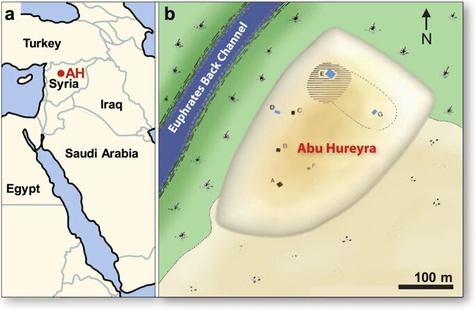 BeforeOurTimeVR's tweet photo. @URIGSO @universityofri Add Abu Hureyra, Syria to the growing list of sites with YDB impact proxies. We're building a virtual simulation of proposed impacts in our app so everyone can experience in VR what it might have been like to be on Earth during these cataclysms. Nature: https://t.co/SLLhKQmza1 https://t.co/B4AU1NP3mV