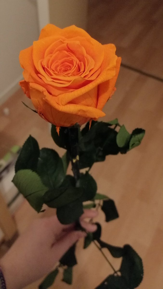 eddygaugey's tweet photo. @tsunamiflavien @UnVraiPapa @ggomez_chef @nikosaliagas Pensées et tout notre soutien à Flavien et à tous les siens @tsunamiflavien
#Soutien #Orange #TsunamiFlavien 🧡 https://t.co/RtTAC3O2rZ