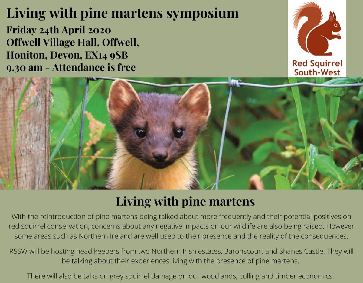 redsquirrelsw's tweet photo. #RSSW is holding a free seminar on living with #PineMartens on Friday 24th April! Tickets in link!
#redsquirrels #redsquirrel #redsrule #redsquirrelsrule #redsquirrelsouthwest #saveoursquirrels #britishredsquirrel #redsquirrelsouthwest
https://t.co/evsxpHHB10 https://t.co/uVZVGqUvkG