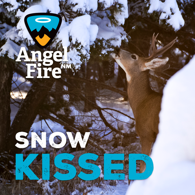 Angel Fire Visitors Center tweet media