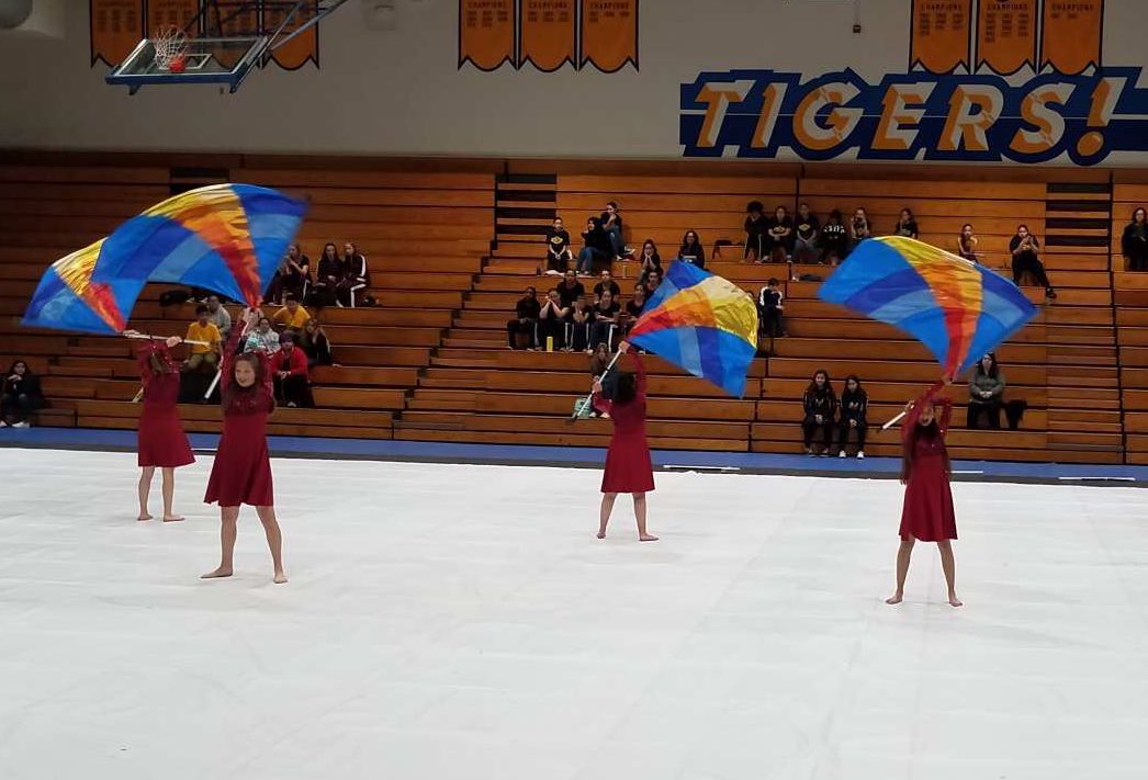 SeaKingColorguard tweet media