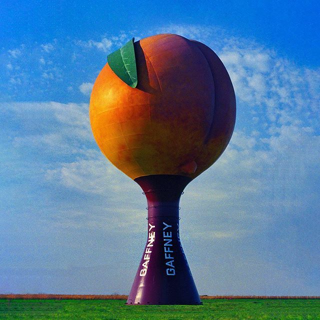 TheLightFactory's tweet image. Well isn’t this just peachy! Thanks to our long time supporter and friend @deborahtriplett for donating this vibrant image to our Print Madness sale. To add this 🍑 to your basket see link in bio. ift.tt/2VTf4UT