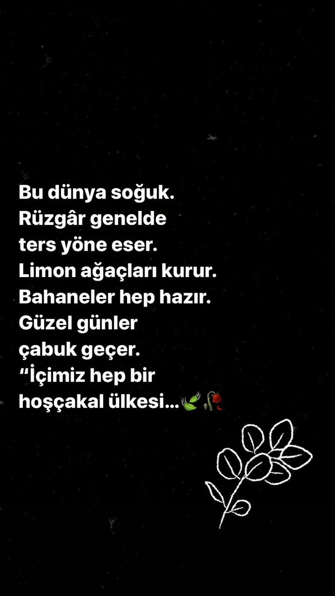 GÜLDANE☘ (@guldanekabak) on Twitter photo 