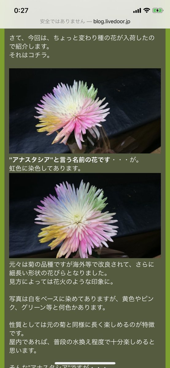 ユウキ ゆっくん على تويتر 渡辺みり愛の 2期生は虹だと思う という発言と アナスタシアという花は何色にも染めれられるらしく この花が入荷される時はまだ蕾の状態でゆっくりと開花するらしい 新曲の ゆっくりと咲く花 とも繋がる 深い アナスターシャ考察 ユウキ ゆっくん على تويتر 渡辺みり愛の 2期生は虹だと思う という発言と アナスタシアという花は何色にも染めれられるらしく この花が入荷される時はまだ蕾の状態でゆっくりと開花するらしい 新曲の ゆっくりと咲く花 とも繋がる 深い アナスターシャ考察