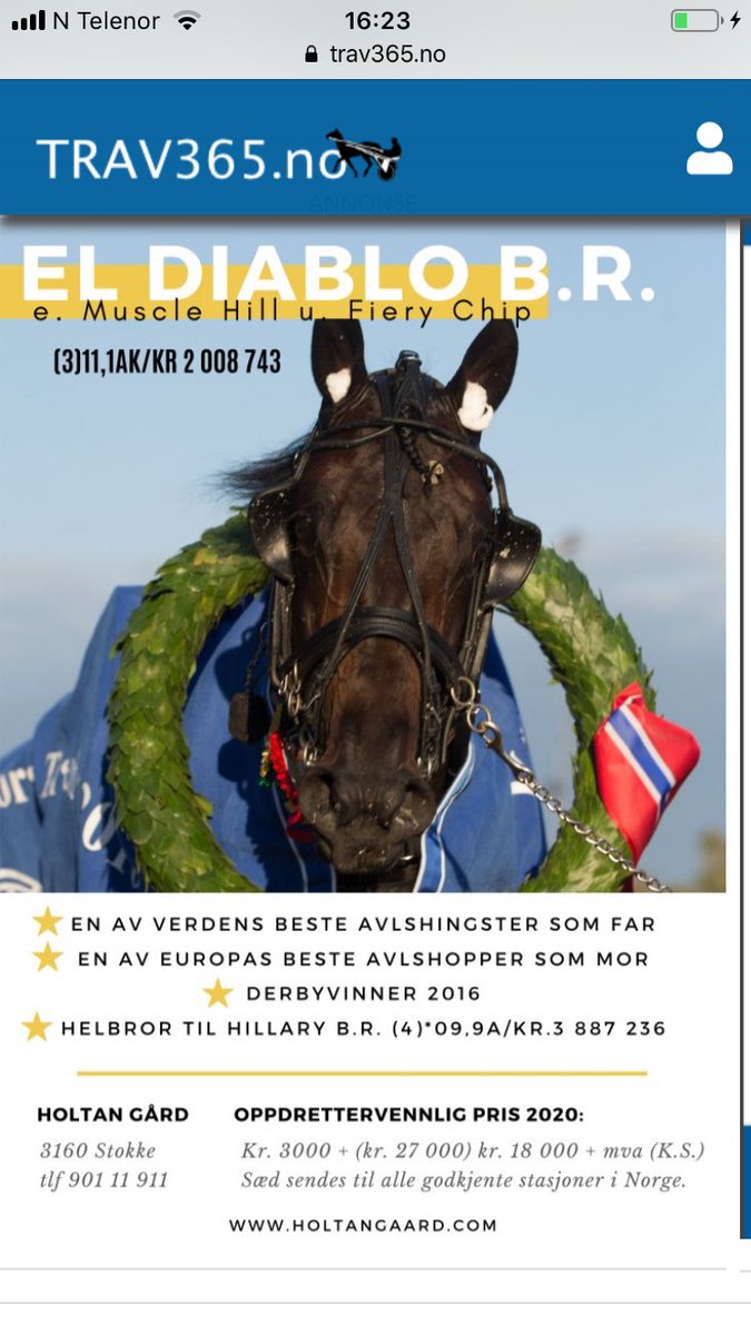 El Diablo B.R. klar for avl.
Noen norsk stasjonerte hingster med bedre morsstamme?