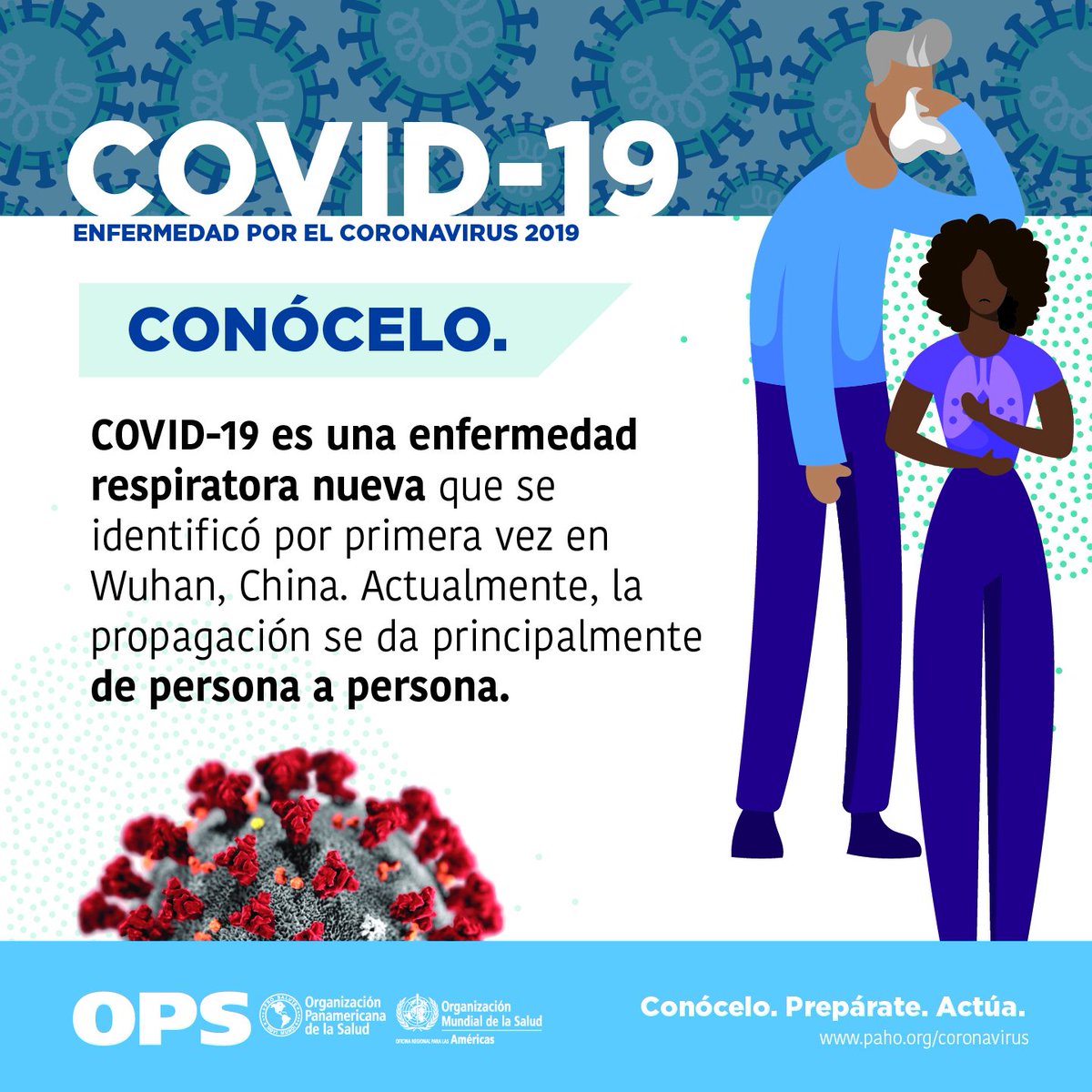 DrSussmann's tweet photo. #COVID19 👉 Conócelo • Prepárate • Actúa

La prevención es tarea de TODOS:

👏🚿 Lavarse las manos frecuentemente con jabón.
⛆Mantener limpias las superficies con las que se tiene contacto.
☂Toser o estornudar en el hueco del codo o en pañuelos desechables.

#Coronavid19 https://t.co/k42UbJj4f0