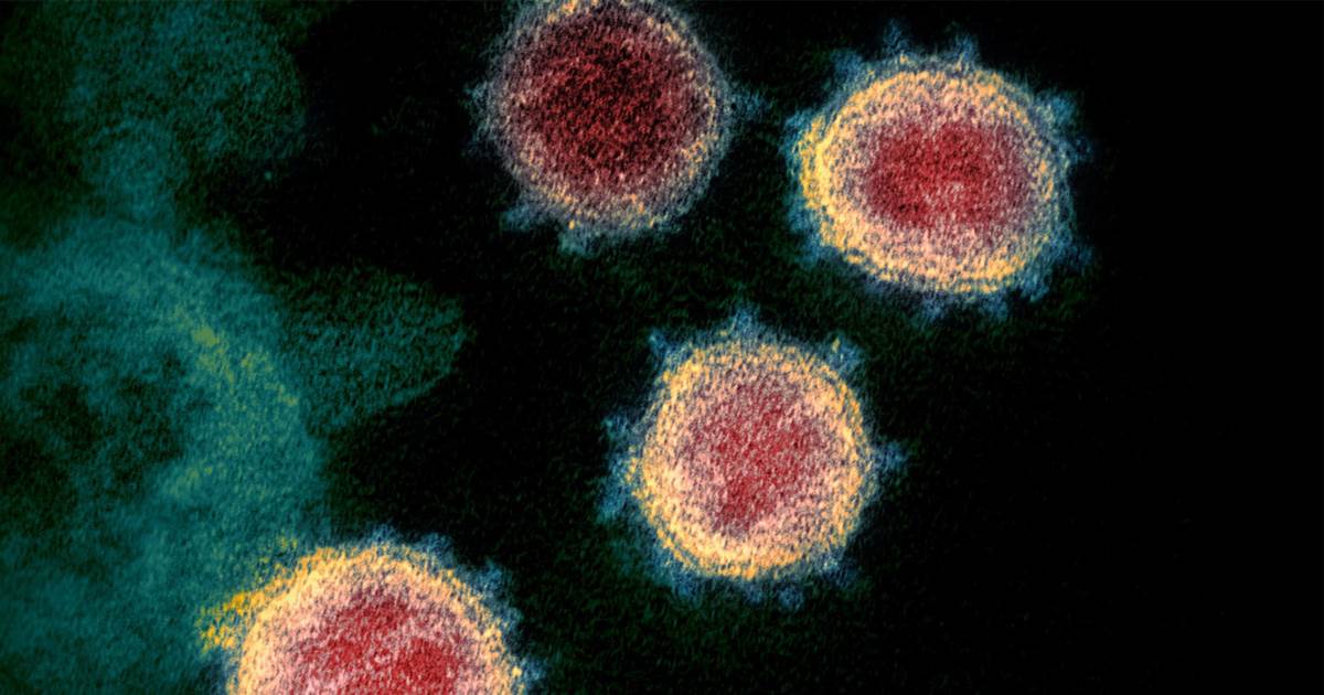 MeetThePress's tweet photo. ICYMI: Less than half of voters say the U.S. is prepared for coronavirus, new survey finds
https://t.co/vVefn8zjWN https://t.co/HFtEAf3Ewl