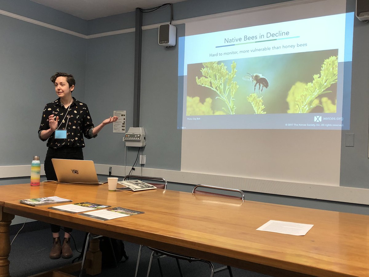 Roselli4RI's tweet photo. Bumblebees 57 varieties are in decline. You know why. Disease, habitat loss, insecticides. #2020LWS @RILandTrusts @RIAudubon https://t.co/TP6Lblv1z0