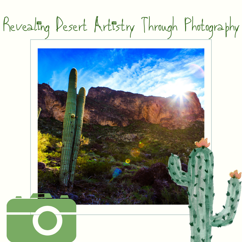 acnc_smeec's tweet photo. Join us at #SouthMountain for a photography class to enrich your appreciation of the #SonoranDesert with instructor Bill Driver.

Sunday, March 8 | 9:30-11:30 a.m.
All ages welcome | $12 per person
Join Us! https://t.co/ZEP40QQECT

#learn #explore #experience #SMEEC https://t.co/JGNkyBe635
