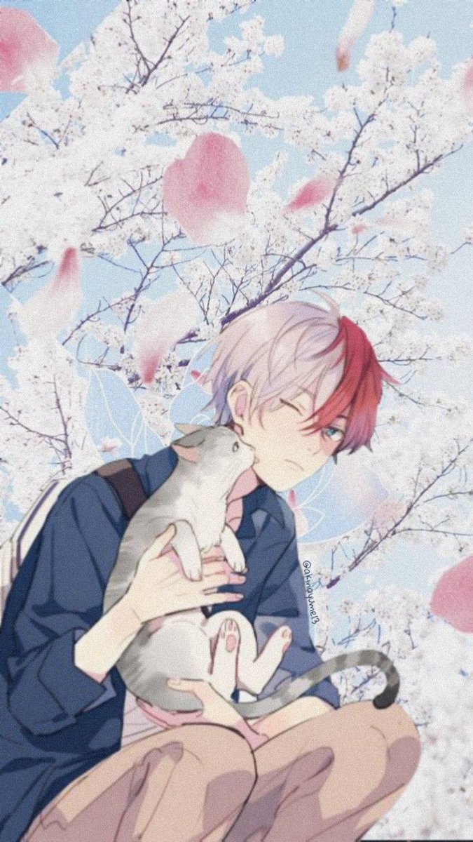 TopAnimeNews2's tweet photo. https://t.co/k6cToVvQUT\n#bokunoheroacademia #bnha #myheroacademia #todorokishouto #todoroki #cat #anime #animeboy #ani... https://t.co/LBBorNfbq5