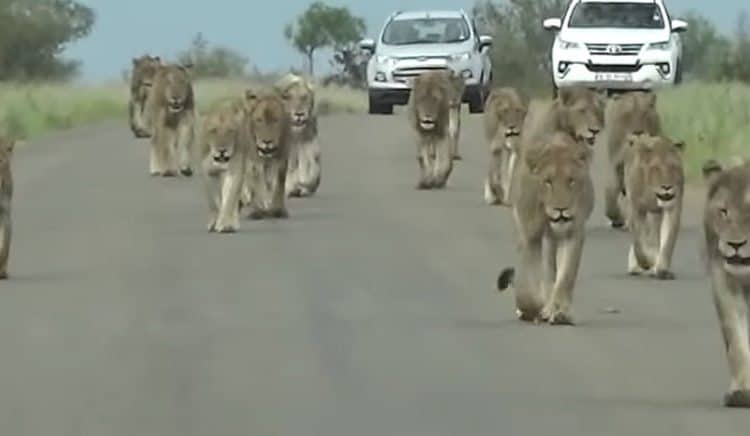 ToddFrancis31's tweet photo. #THEAWAKENING  Waterloo Boys Basketball take a road trip to Canton with the backing of the community on March 11th.  Plenty of open road ahead to conquer for our young men that possess so much strength and courage.  I can already feel the fans roaring for  a powerful performance! https://t.co/JRVgs9alj3