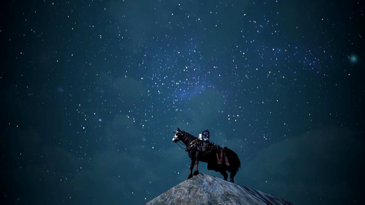 マシロィ In 黒い砂漠 あまりにも馬がスキル覚えないので ついに星に祈りを あれだけ星があるんだ どれか一つは聞いてくれるだろう 黒い砂漠 黒い砂漠pc