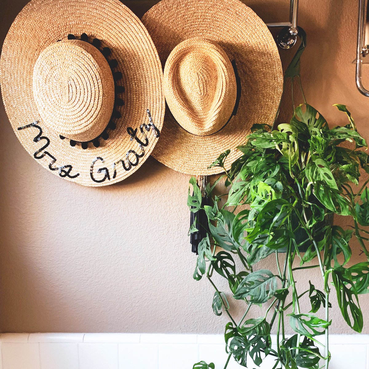 I didn’t know how many plants I actually had in my house until this weekend. Do you know your plant count? ON THE BLOG: “House Full Of Plants” is a fun history of my plant progression, the intense amount I have and favorite places to shop the best greenery! Link in bio!