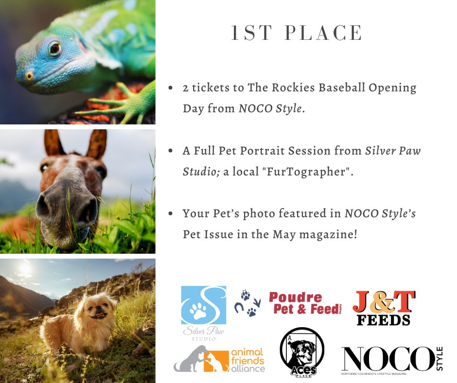 nocostylemag's tweet photo. Thanks to these Cutest Pet in NOCO Photo Contest sponsors the winners are going to walk away with a lot more than just bragging rights!
https://t.co/0NeiZshpsd
#NOCOStyle #cutestpetcontest #poudrepetandfeedsupply #jandtfeeds #animalfriendsalliance #silverpawstudio #acesplace https://t.co/PXGjnZLClh