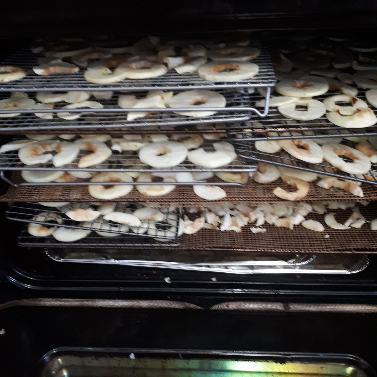 KirkwoodCanoe's tweet photo. Saturday - low hydro rate
-16°C this am. I use my convection oven set to 145°F. Prefect day to dehydrate 12lbs of apples for summer canoetrip outback baking. Places I'm going in 2020. #outbackbaking #canoetrip #camping #hhwt #algonquinpark #killarney #barroncanyon #restouleriver https://t.co/iTrVj4006V