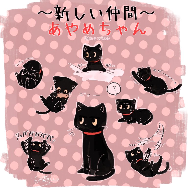 #い・らくすと 
新しい仲間(?)が増えたね!??(触れると4ぬ)

3枚目はねこの描き方練習してただけ 