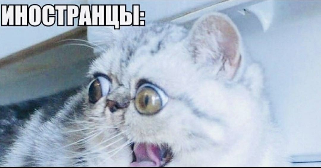 kirIIIonly's tweet photo. П*зда - орган
П*здануть - ударить 
П*здатый - о��ень хороший 
Попизд*ли - пошли
П*здюк - малолетка
П*здабол - врун
Поп*здеть - поговорить https://t.co/7UsAznCQIm