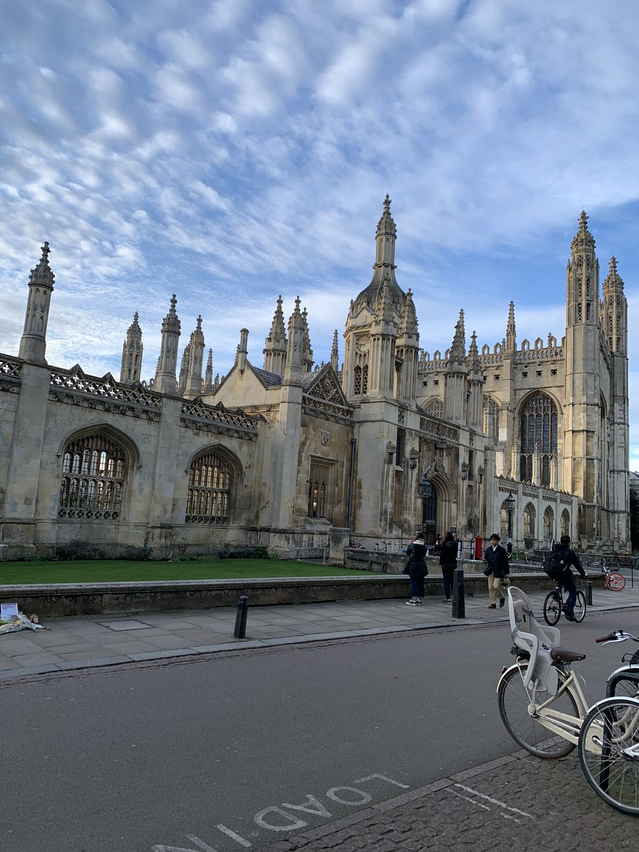 パラちゃん@人生もポーカーも飛び tweet media