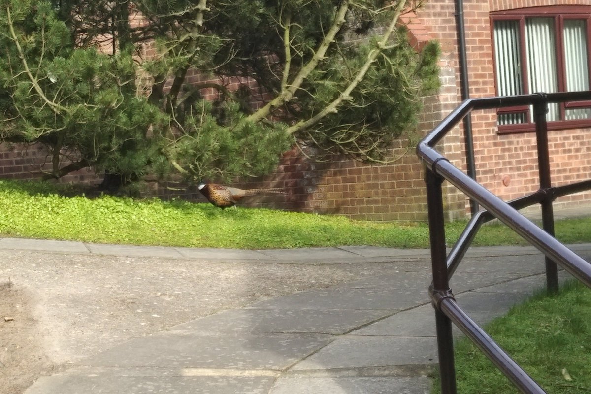 Jason L Kean tweet media