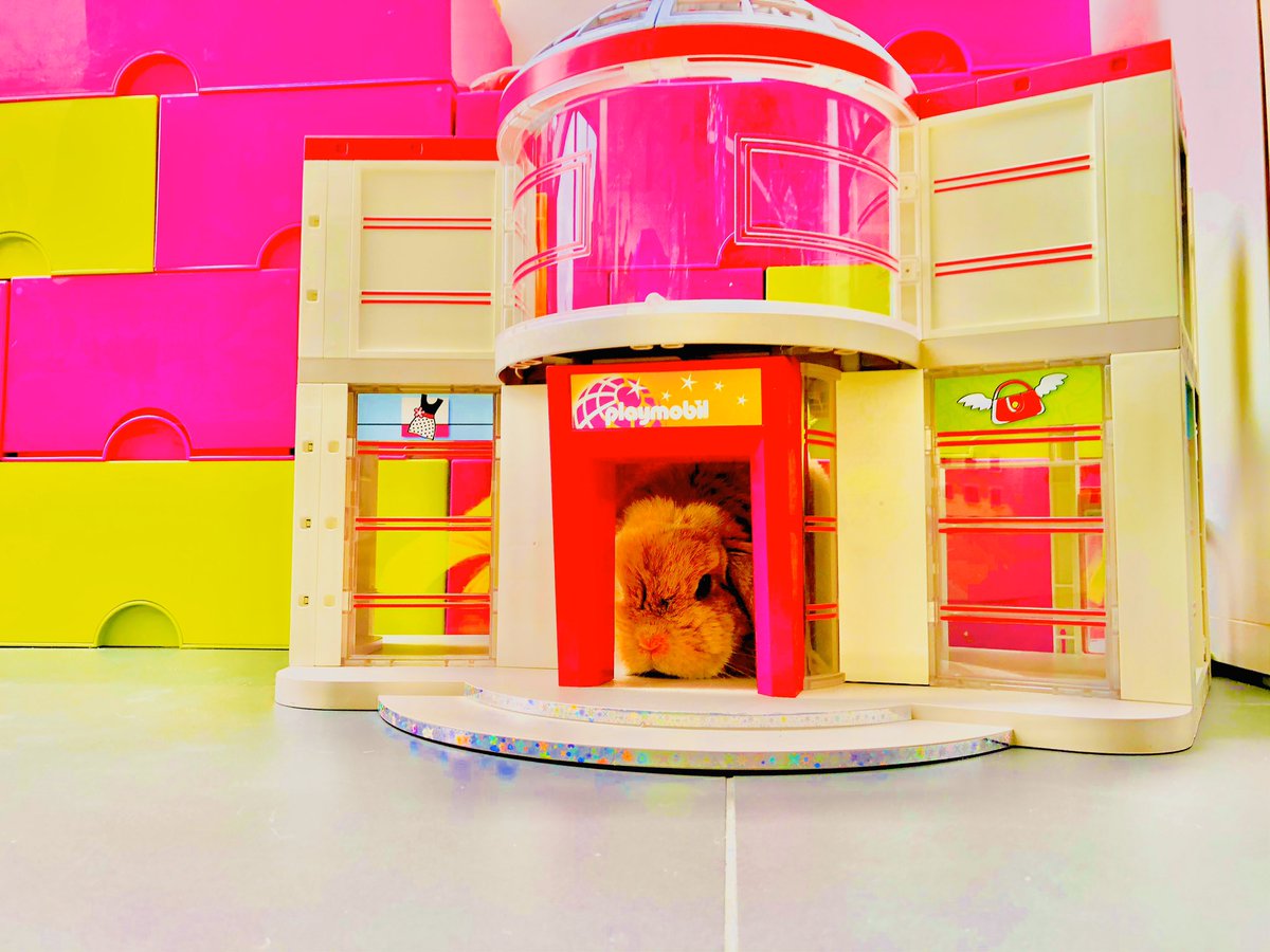 Smarty_Rabbit's tweet photo. I’ve pimped my den, and gone filter crazy. #SmartyRabbit https://t.co/c0kq88uInf
