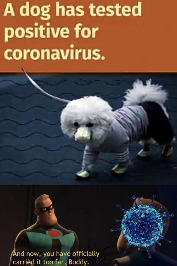 Youve Gone Too Far Meme