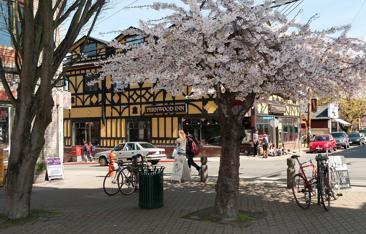 CityOfVictoria's tweet photo. Want to share your ideas for the future of the Fernwood Village + its corridors? Help us plan a #CommunityforEveryone and join us at our #FernwoodSquare Pop-Up TODAY from 2-5pm. https://t.co/QuoRQirna2 https://t.co/c3j66Xqnvf