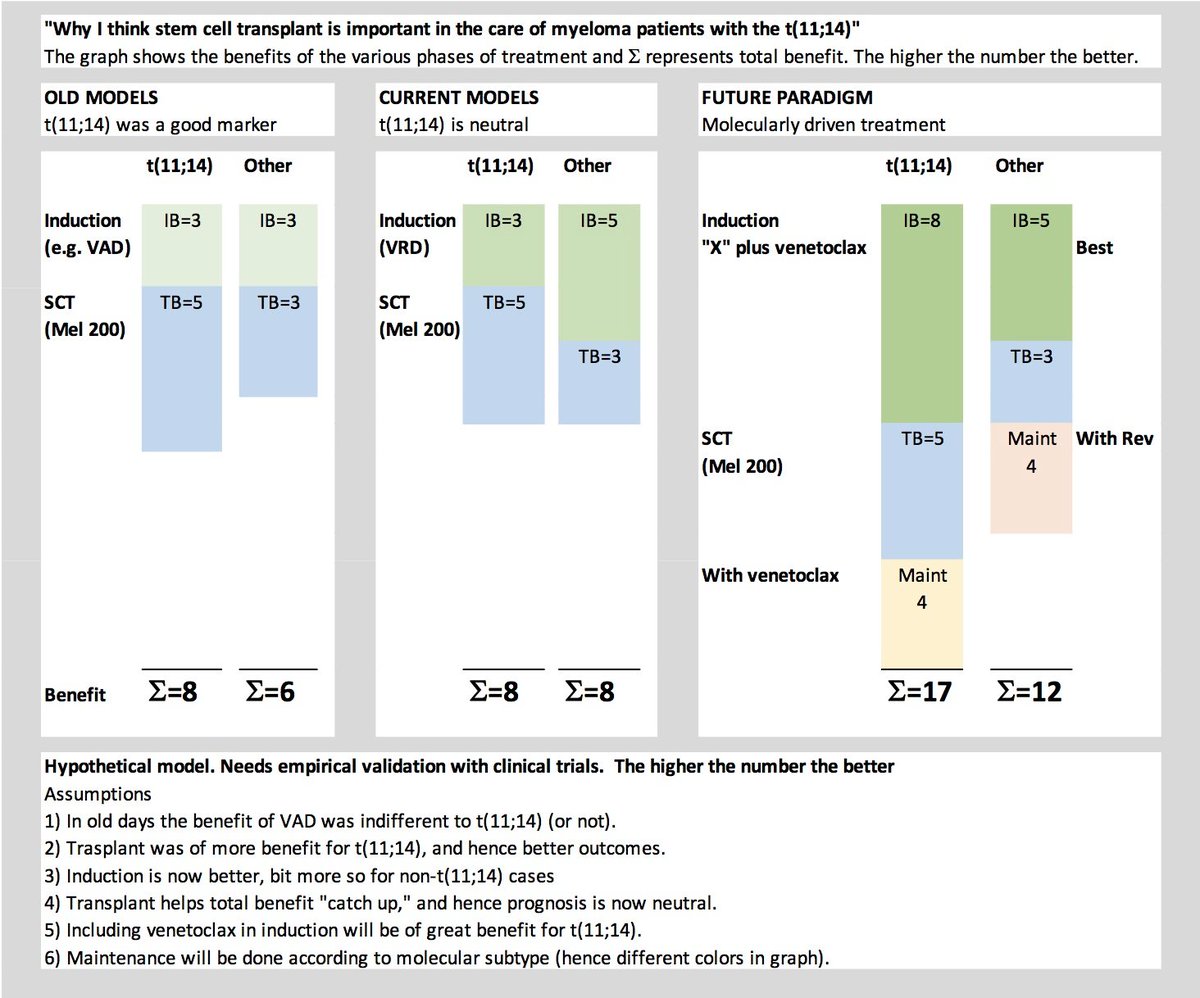 ADDENDUM: I have been asked to try to explain why I think stem cell transplant is particularly important for t(11;14). This is a conceptual slide that shows my hypothesis and thinking in this regard. #mmsm