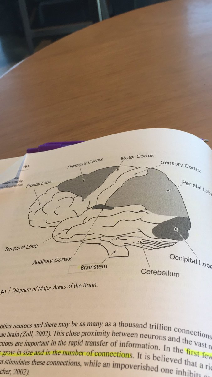 MrsMatthewsCMS's tweet photo. I hated science class as a kid (sorry former teachers) but I am LOVING my music psychology class right now! So much information I can use in the classroom! Grad school update: UGA is definitely rigorous, BUT I’m better for it. #chorusismorethansinging #musicisscience https://t.co/UV1VD0UgE2