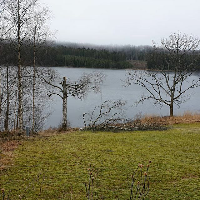 dalslandsstuga's tweet photo. Today we took a little trip to our holiday home. It seems that the storms of winter have fixed it so we have to chop birch wood this spring. 🌬💨🌳 By the way. We still have nice summer weeks available. Link in profile. 🏞🏡🛶
#novasol #s45295
.
#dalsl… https://t.co/vGZ4QLZBDd https://t.co/VCKHlrIlVl