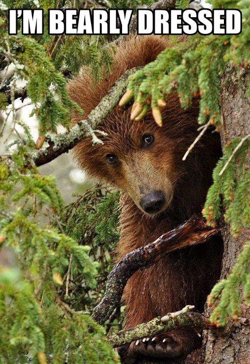 Jay Griz tweet media