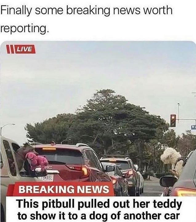 HarrisonDetail's tweet image. 