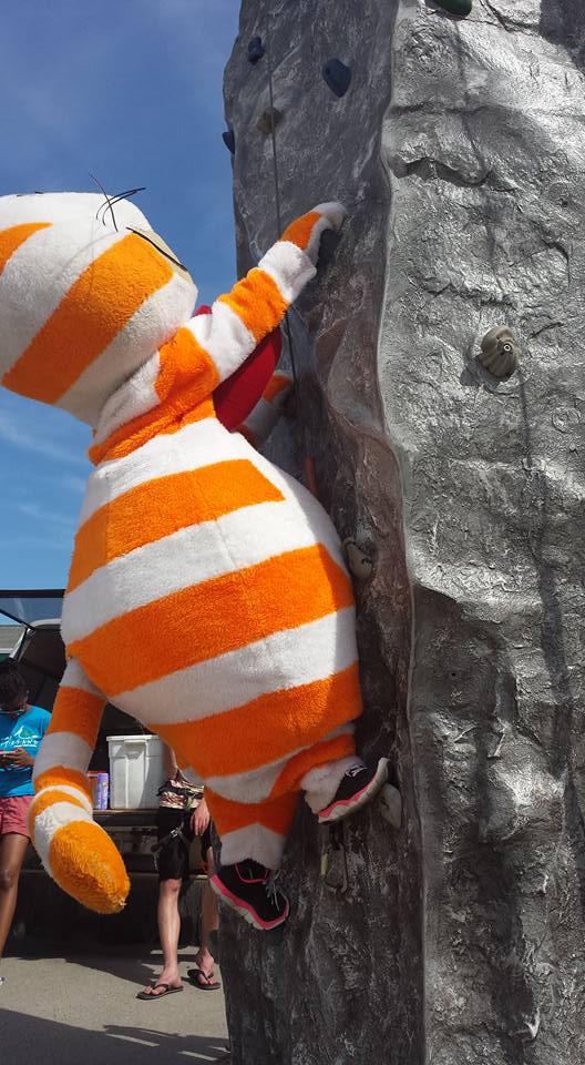 RateFat's tweet photo. This is Fat Cat going free solo on El Capitan.  Scary, but having nine lives helps.  11/10 excellent form but please don’t try this at home. https://t.co/QN4mmJCdc8