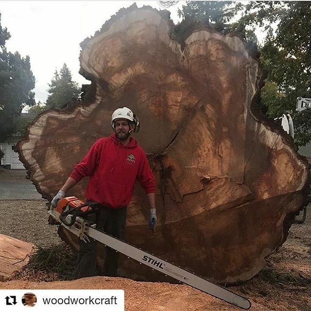 Homeandtoolusa's tweet photo. https://t.co/1Igkrijavt https://t.co/Sjw4Awe0pQ