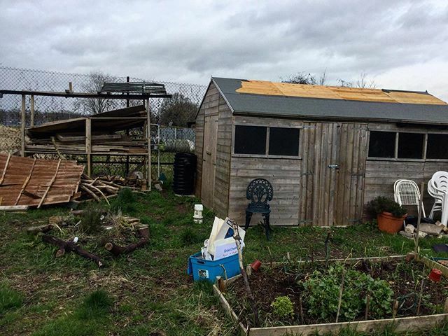 A few repairs to do from all this wind and rain! But it’s all fun to learn how we’ll all have to think about how we make things, what materials and structures are going to keep up in the changing climate. It’s really wonderful to observe nature telling u… instagram.com/p/B9cLYq-AjdN/