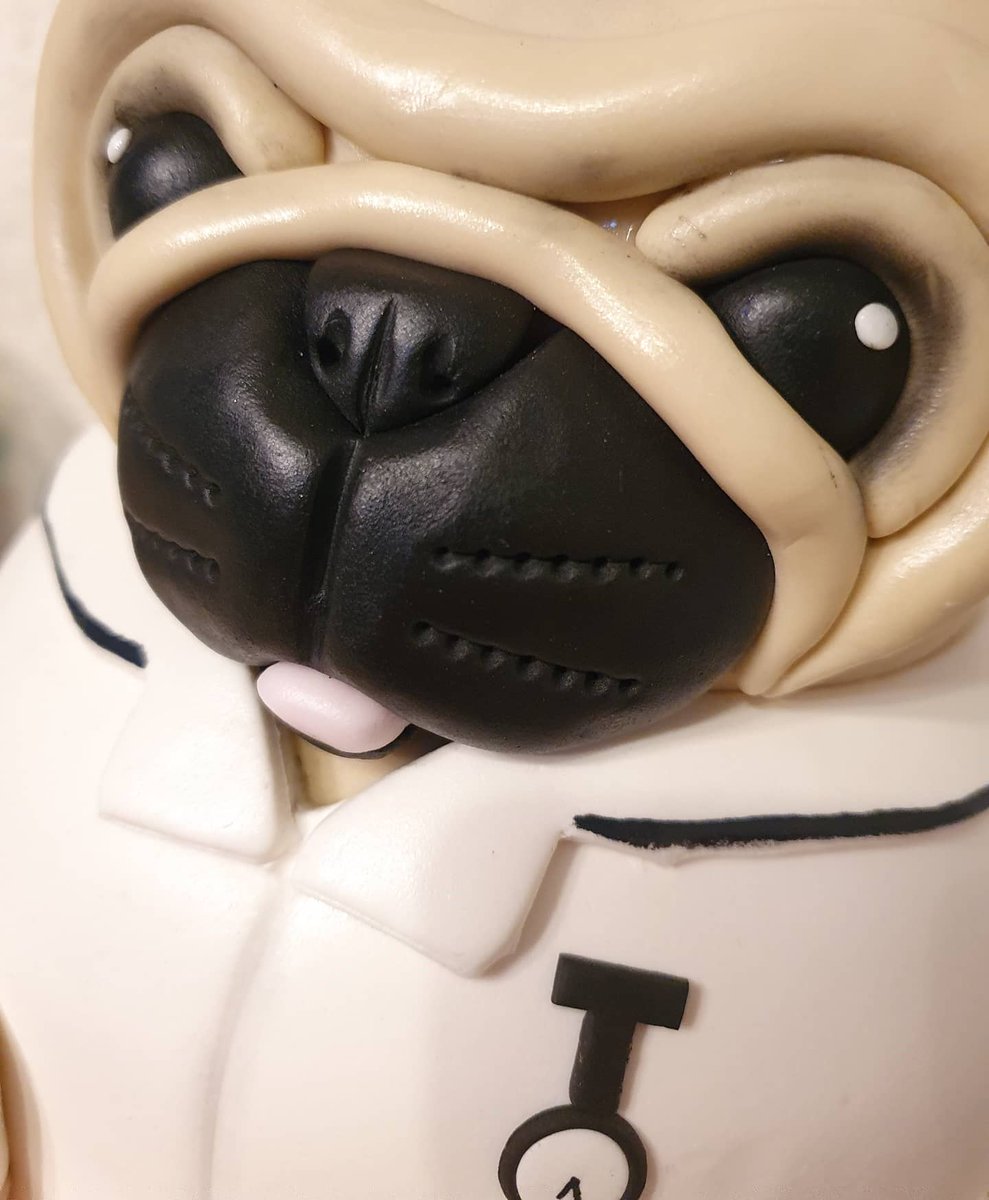 AuntieCakeBakes's tweet photo. Nurse Pug cake for a 30th birthday 👩⚕️🐶
#auntiecakebakes #pugcake #pug #nursecake #nursepug #carvedcake #30thbirthdaycake #birthdaycake #dogcake #noveltycake #cakedecorating #essexbaker #eastlondonbaker #saracino #coutureicing https://t.co/ypmo0XXMfL