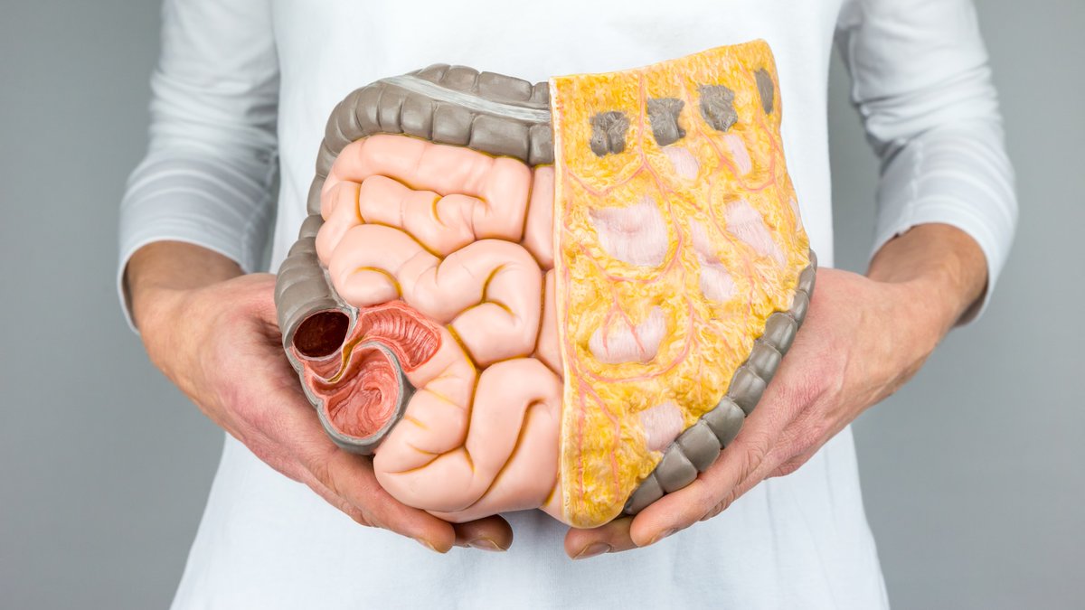 Send me your email for this Thusrdays newsletter - Five anatomy myths that Pilates &amp; yoga teachers make:
"Hold your stomach in, it’s the best thing for you to stabilise.  Through this, you will get rid of all pain and have a flat tummy and  perfect posture".