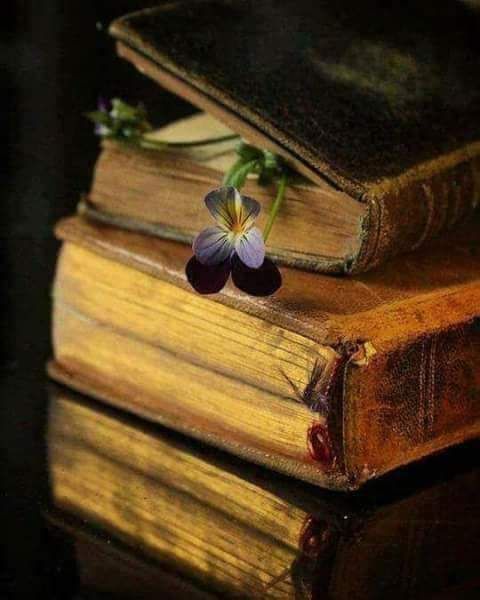Hananrode2's tweet photo. ❃..⇣ 『🌹』⇣..❃

التفاصيلُ دائماً لا تُكتب على غلافِ الكتاب و هكذا نحنُ لن نفهمَ البعضَ حتّى نعرفَ التّفاصيل...

🌹❥❁﴿ @Hananrode2 ﴾❁❥🌹 https://t.co/ay9TQkBOKW