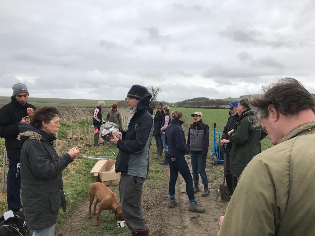 plant_our's tweet image. Friends (old and new) and neighbours from Manningford and Pewsey planting a hedge along a footpath with the blessing of the local landowner and trees provided by @WoodlandTrust #communityplanting #treechampions #treeheroes #wiltshire @visitpewseyvale