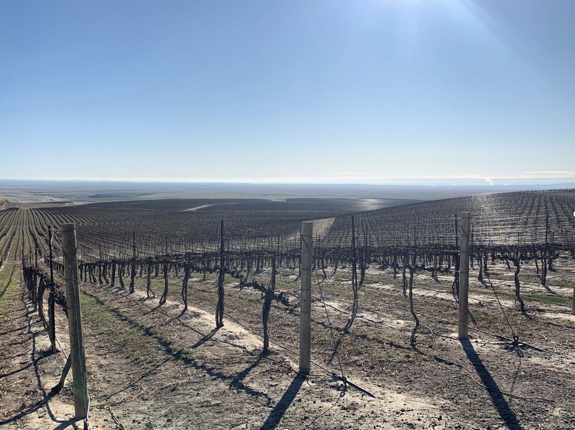 Lastest from Coyote Canyon Winery conta.cc/2TnQOs9