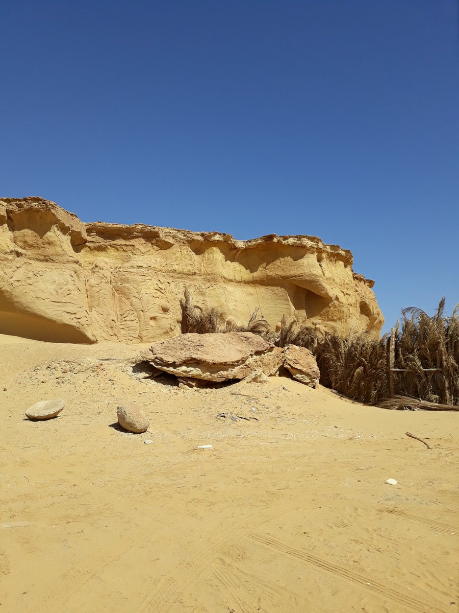 SibilleCartier's tweet photo. Magical #Fayoum. #ThisisEgypt #onedaybreak #desert https://t.co/68HC32dZYf
