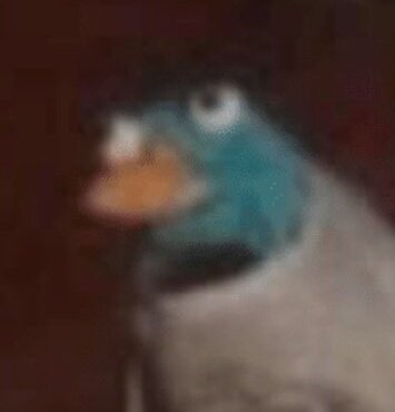 // Bold of you to assume the broom in my ass hurts