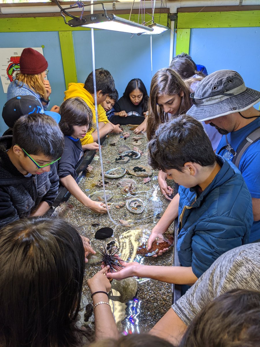 BladhScience's tweet photo. Exploring ecosystems and the invertebrates and algae in the ocean. @GianoSchool https://t.co/cWvvaiXdYH